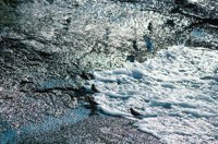 010309_0801_0408_nsls.jpg