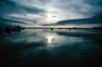 010309_0801_0407_nsls.jpg