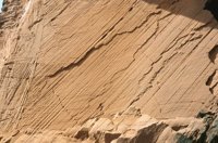 010309_0801_0406_nsls.jpg