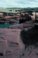 010309_0801_0400_nsls.jpg