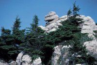 010309_0801_0395_nsls.jpg
