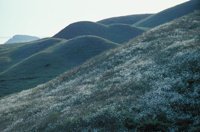 010309_0801_0394_nsls.jpg