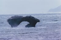 010309_0801_0393_nsls.jpg