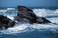 010309_0801_0392_nsls.jpg