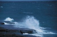 010309_0801_0390_nsls.jpg