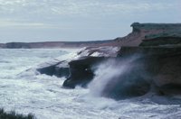 010309_0801_0386_nsls.jpg