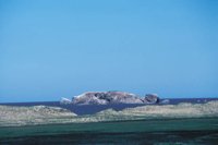 010309_0801_0384_nsls.jpg