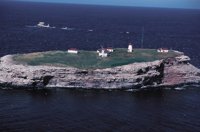 010309_0801_0380_nsls.jpg