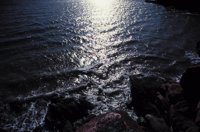010309_0801_0378_nsls.jpg