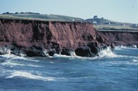 010309_0801_0376_nsls.jpg