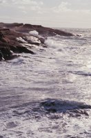 010309_0801_0375_nsls.jpg
