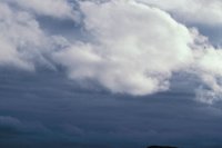 010309_0801_0374_nsls.jpg