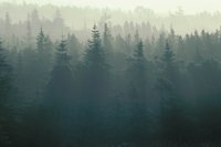 010309_0801_0368_nsls.jpg