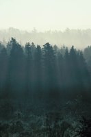 010309_0801_0367_nsls.jpg