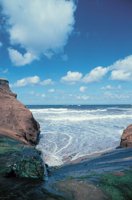 010309_0801_0366_nsls.jpg