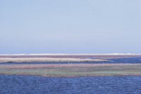 010309_0801_0363_nsls.jpg