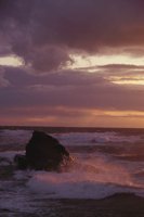 010309_0801_0353_nsls.jpg