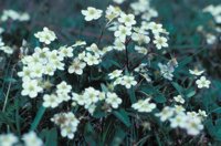010309_0801_0338_nsls.jpg