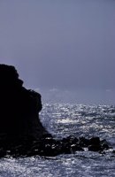 010309_0801_0337_nsls.jpg