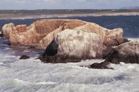 010309_0801_0335_nsls.jpg