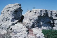010309_0801_0332_nsls.jpg