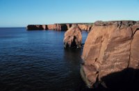 010309_0801_0331_nsls.jpg