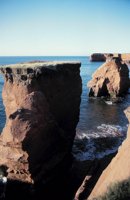 010309_0801_0329_nsls.jpg