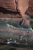 010309_0801_0328_nsls.jpg