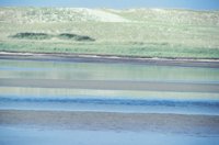 010309_0801_0323_nsls.jpg