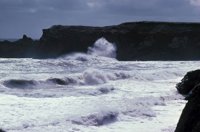 010309_0801_0322_nsls.jpg