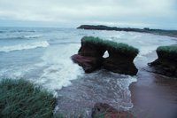 010309_0801_0321_nsls.jpg