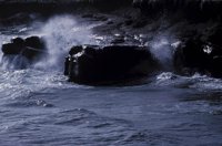 010309_0801_0319_nsls.jpg