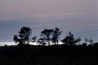 010309_0801_0317_nsls.jpg