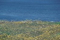 010309_0801_0312_nsls.jpg