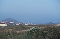 010309_0801_0307_nsls.jpg