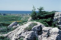 010309_0801_0305_nsls.jpg