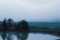 010309_0801_0303_nsls.jpg