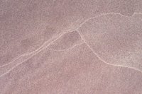 010309_0801_0295_nsls.jpg