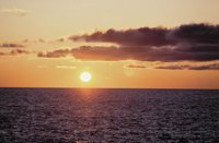 010309_0801_0294_nsls.jpg