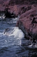 010309_0801_0289_nsls.jpg