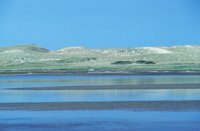 010309_0801_0281_nsls.jpg