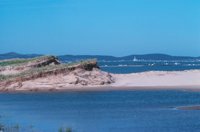 010309_0801_0280_nsls.jpg