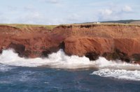 010309_0801_0278_nsls.jpg
