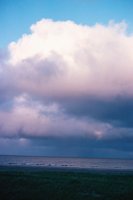 010309_0801_0276_nsls.jpg