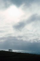 010309_0801_0271_nsls.jpg