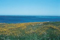 010309_0801_0266_nsls.jpg