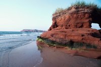010309_0801_0261_nsls.jpg