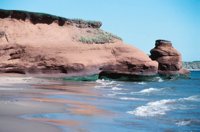 010309_0801_0258_nsls.jpg