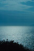 010309_0801_0257_nsls.jpg
