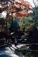 010309_0801_0247_nsls.jpg